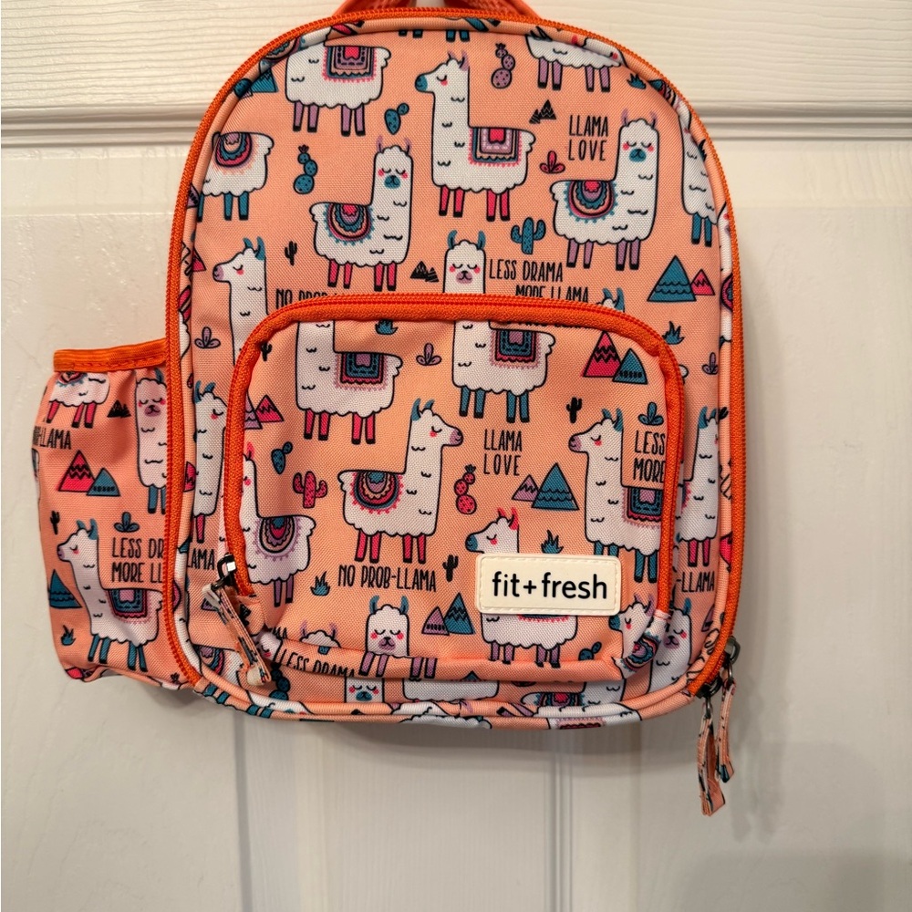 Kid’s Super Cute Fit + Fresh Less Drama More Llama Insulated Lunch Bag NWOT